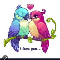 Bird couple