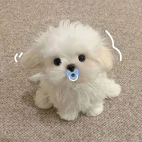 มินิ