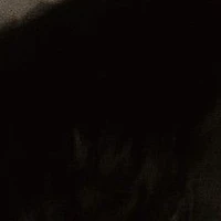 .....