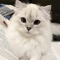 โชยุ😽