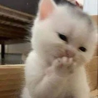 แอดเองงง
