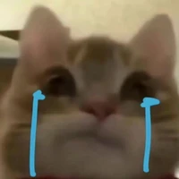 เเอดเอง