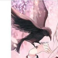 อีกาสื่อสารทุกคน