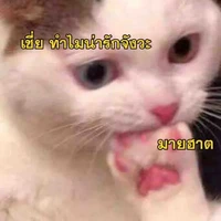 ครูส้นตีน