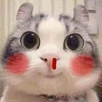แอดเองจ้า