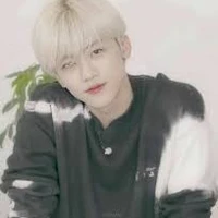 Park Jaemin (Eomma Jimin)