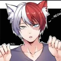 Shoto Todoroki 🤍❤🐈