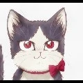 Haru