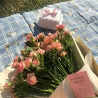 ไรท์จินเยว่