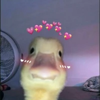 แอดเอง
