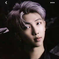 Kim namjoon (30 years old)