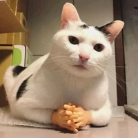 นิสสัน