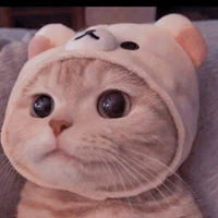 แอดเองงง