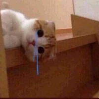 แอด