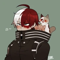 Shoto todoroki