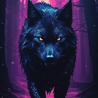 don wolf