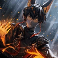 don wolf