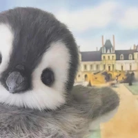 เเอดเองจ้า