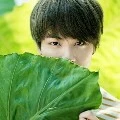 jin
