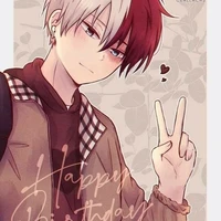 shoto Todoroky