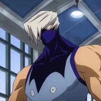mezo shoji