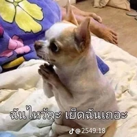 เเอดเอง;-;อุอิ
