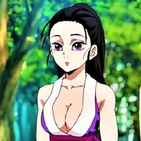 hinatsuru(pasado)
