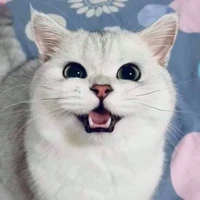 แอด