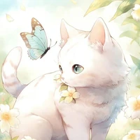 Mimi