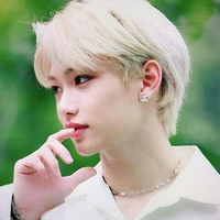 Lee Felix. (Irmão de Jimin)