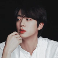 Kim seokjin( wife of namjoon ) /omega