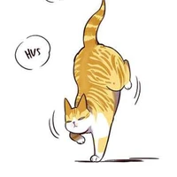 Kaiden mode kucing(Kasein nitrat)