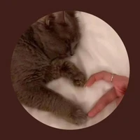 เเอดเองง