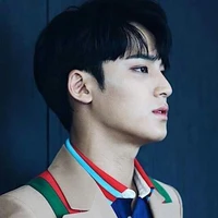 kim mingyu