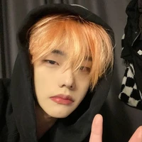โชกุน​