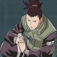 shikamaru🐘🐘