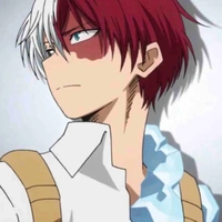Todoroki 