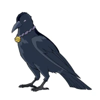 hakumaru (mi cuervo)