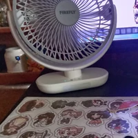 Fan_boydan1