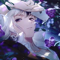 Veros(𝑫𝒖𝒌𝒆)