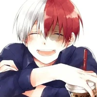 ~Shoto Todoroki~ O.P