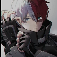 Todoroki Shoto 