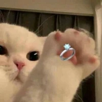แอดเอง🎮