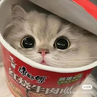 ถังแก๊ส{แมวของเหมันต์+ร่างแมวของนายร้าย}