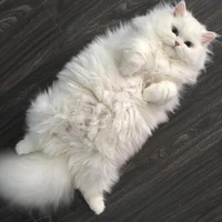 จันทรา(ไอน้องตัวแสบของถังแก๊สเรา)