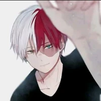 Shoto Todoroki