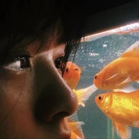 nini