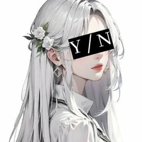 Y/N