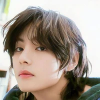 Kim Tae-Jun (Taekook)