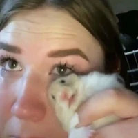 cari